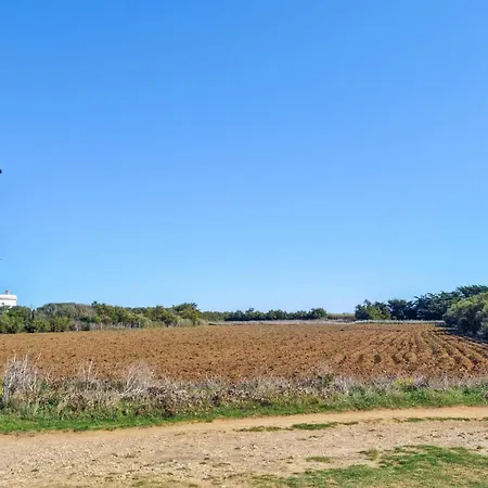 Stunning In With Wifi Σπίτι διακοπών Meschers-sur-Gironde