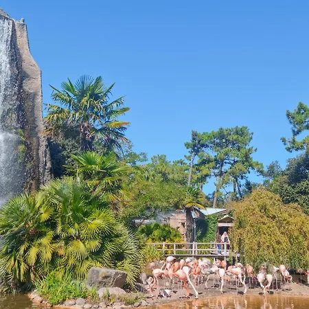 Σπίτι διακοπών Stunning In With Wifi *