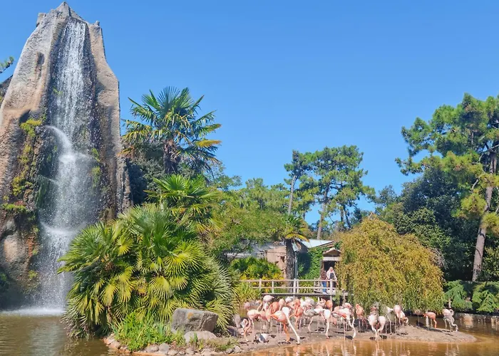 بيت للعطل Stunning In With Wifi *